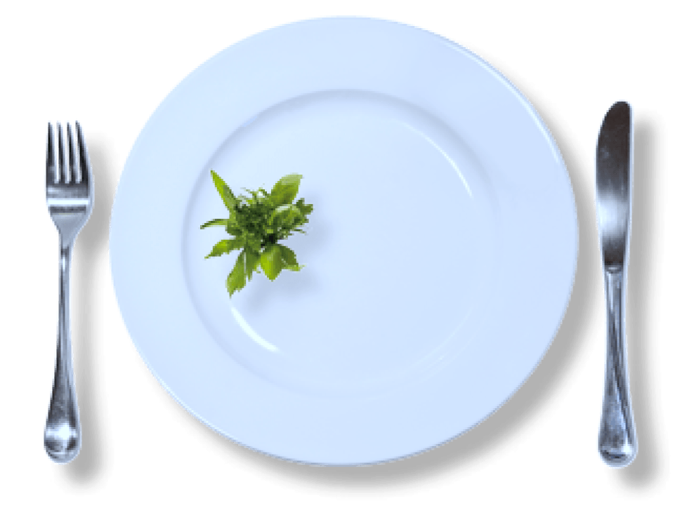 lust-auf-gute-küche